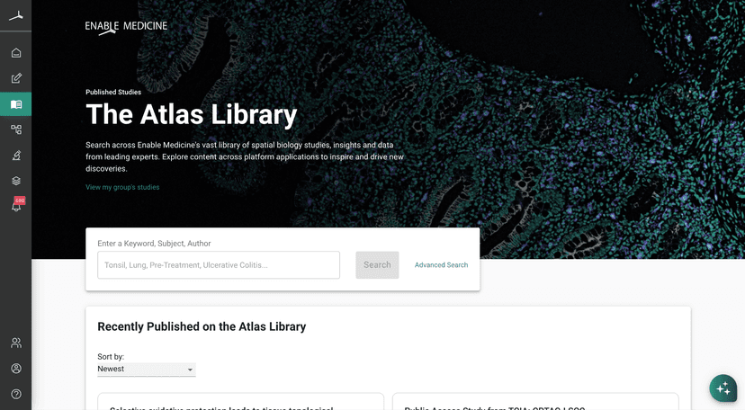 Semantic search interface
